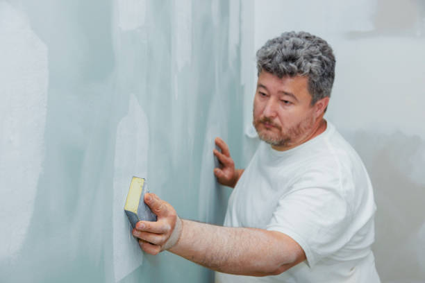 Forensic Mold Investigation in Bedford, VA